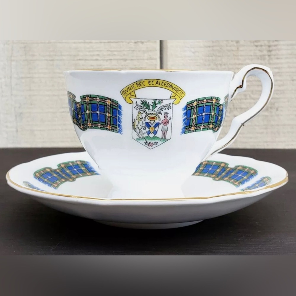 Vintage Royal Stafford Nova Scotia Tartan Teacup & Saucer Blue Green